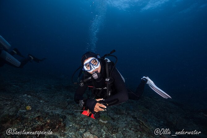 Certified Scuba Dive with Manta Rays (Open Water Diver minimum) - Meeting at Sanctum Dive at 8:30 a.m.
