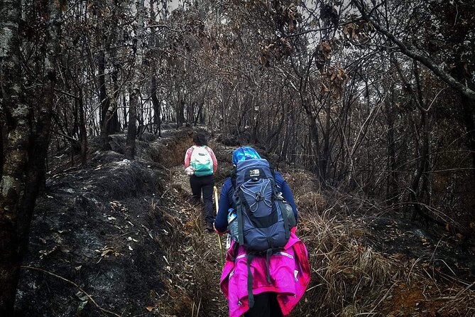 Conquer Mount Rinjani Second Summit: A 2-Day, Lombok-Indonesia - How the guides and porters shape the trip