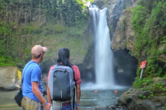 Cretya Ubud and Monkey Forest Sanctuary Tours - Key points to know before you book