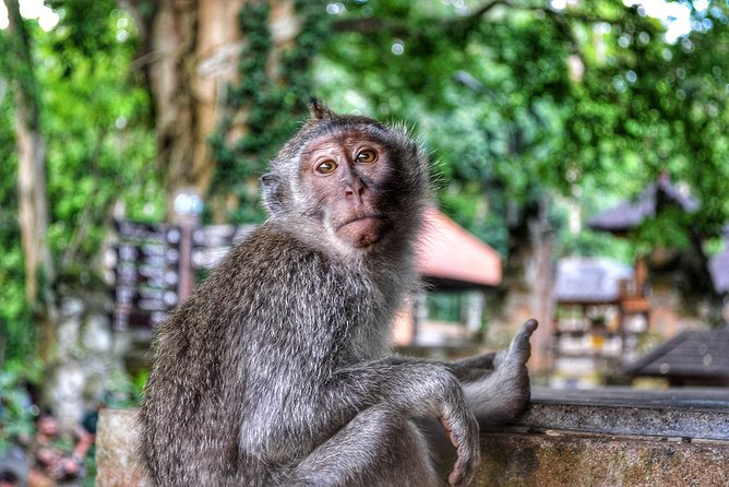 Cretya Ubud and Monkey Forest Sanctuary Tours - Three hours at Cretya Ubud