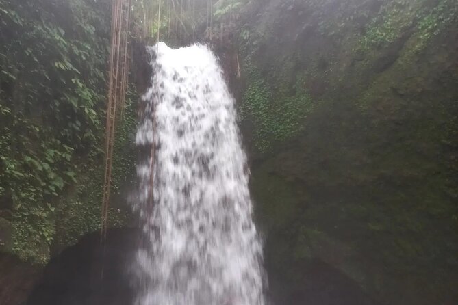 CRETYA Ubud infinity Pool + Hidden Water fall + Water Temple Tour - Lunch at Oka Agro Wisata, with coffee and herbal tea