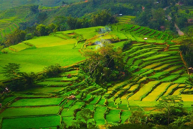 Cunca Wulang Waterfall & Rangko Cave – Full Day Nature Escape - Practical Details Before You Go