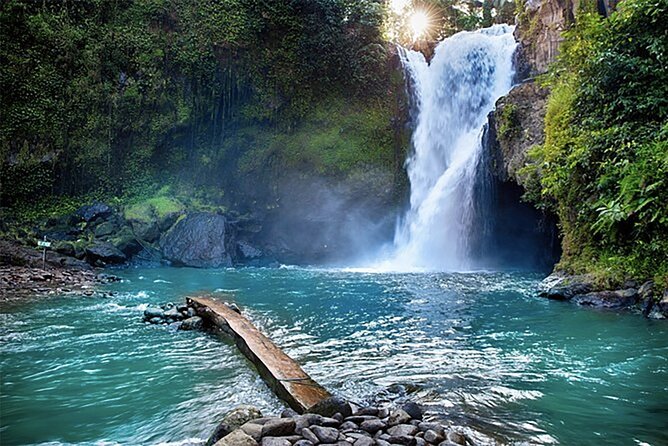 Customizable full-day tour of Bali with private driver - Tirta Gangga’s water gardens