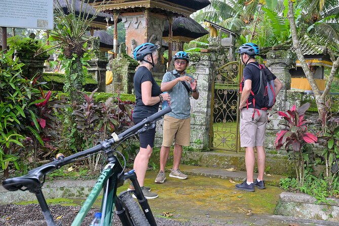 Cycling and Cooking Class in Ubud - Sayan and Petang: rice fields and village roads