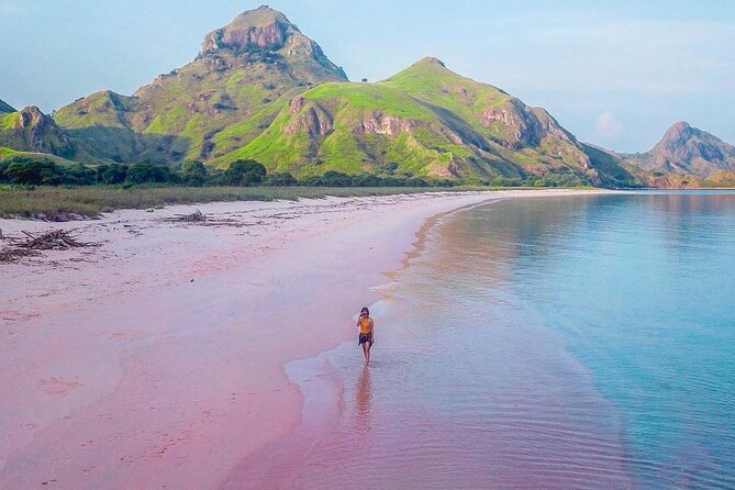 Daily Trip Highlight Komodo Archipelago by Speed Boat - Six islands and reefs packed into 12 hours
