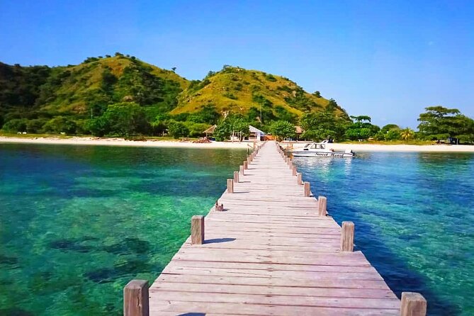 Daily Trip Highlight Komodo Archipelago by Speed Boat - Group size, comfort, and the early start