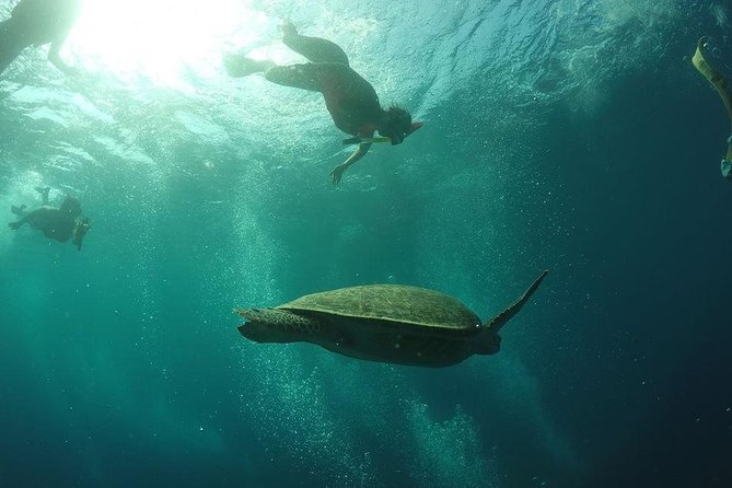 Day Trip Gili Trawangan, Gili Meno, Gili Air (Depart Lombok) - Gili Trawangan for turtles, lunch, and a break