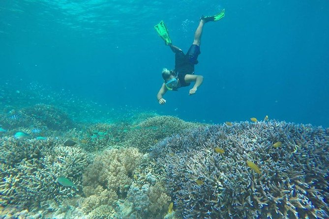 Day Trip Gili Trawangan, Gili Meno, Gili Air (Depart Lombok) - What is included, and what costs extra