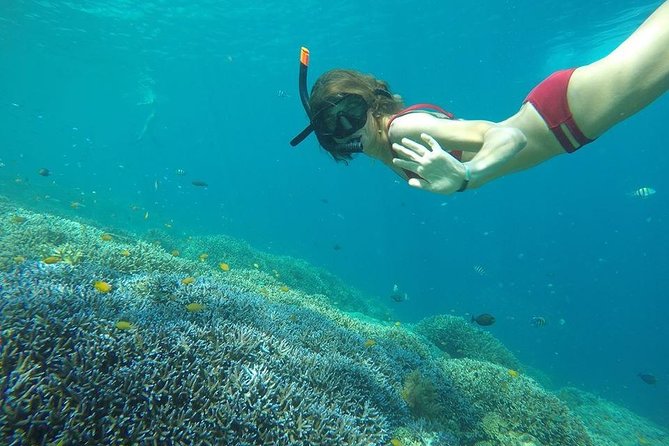 Day Trip Gili Trawangan, Gili Meno, Gili Air (Depart Lombok) - Gili Meno, turtles, and the underwater figures