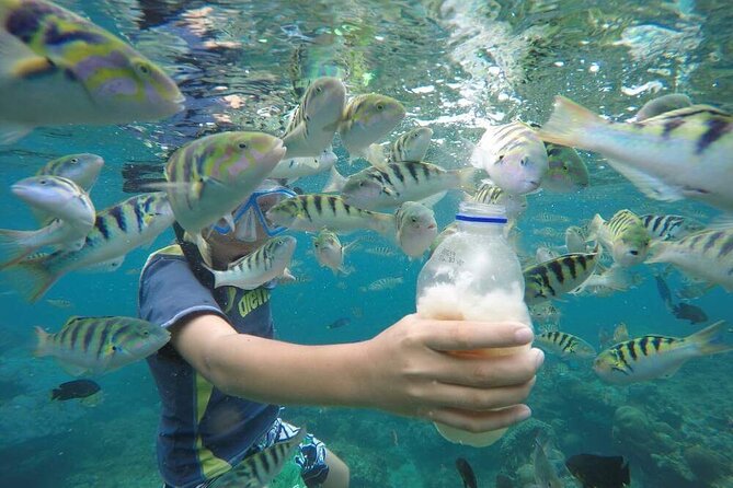 Day Trip: Nusa Penida Snorkling - Three snorkeling stops before the island sightseeing