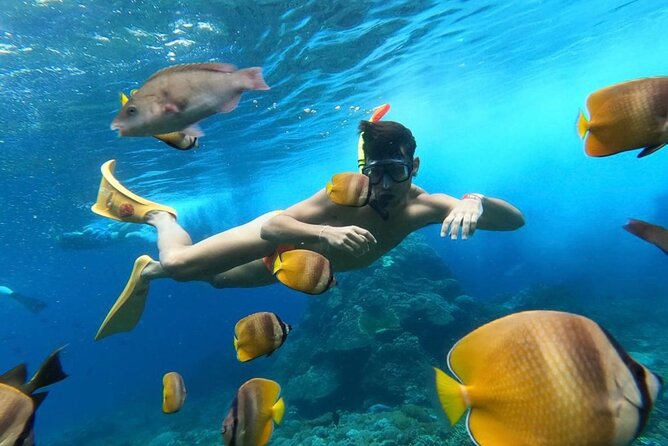 Day Trip: Nusa Penida Snorkling - Kelingking Beach and the famous T-Rex cliff