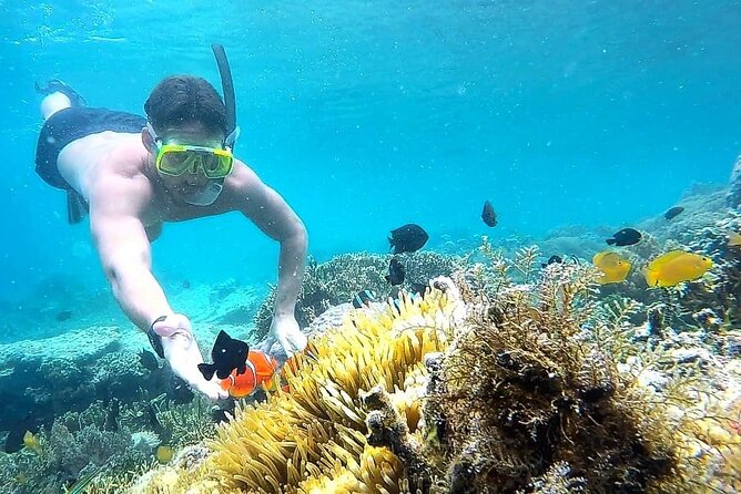 Day Trip Secret Island West Of Lombok - Key points to know before booking