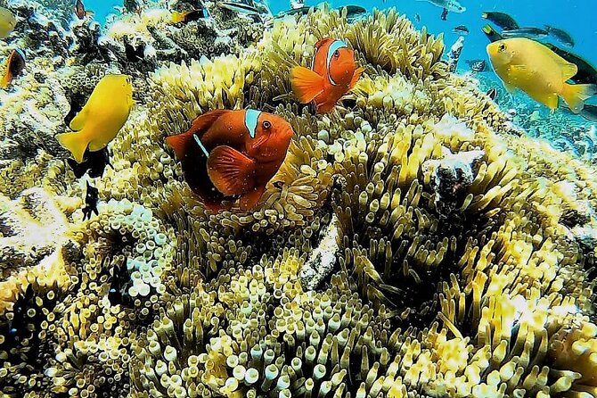 Day Trip Secret Island West Of Lombok - Why this West Lombok trip feels different