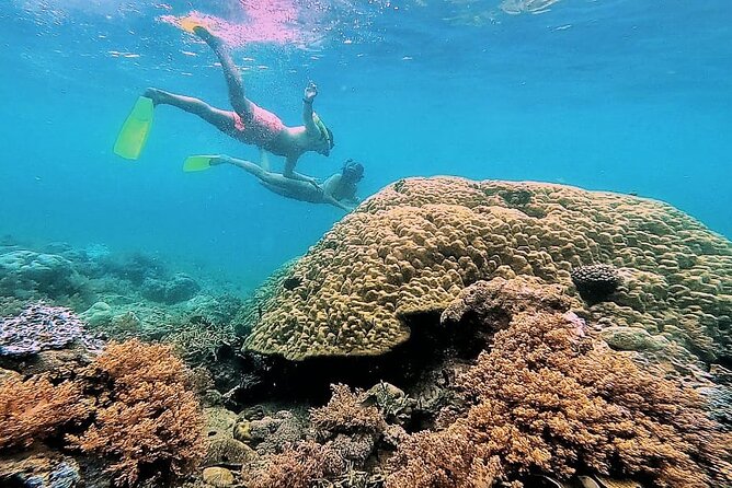 Day Trip Secret Island West Of Lombok - Gili Layar and the reward for looking closely