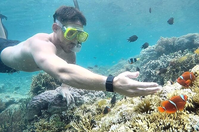 Day Trip Secret Island West Of Lombok - Gili Rengit for calm water and clear reef views