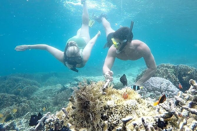 Day Trip Secret Island West Of Lombok - Gili Asahan and greenish water