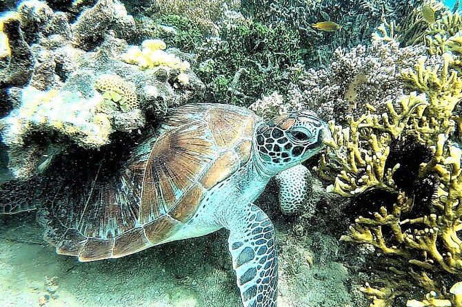 Day Trip Secret Island West Of Lombok - What the eight-hour schedule really means