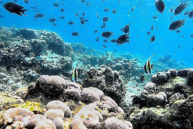 Day Trip Secret Island West Of Lombok - The private price and who gets good value