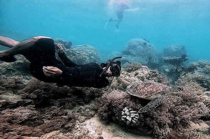 Day Trip Secret Island West Of Lombok - Starting at Pelangan in Sekotong