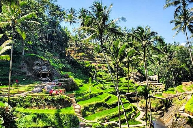 Design Your Own Bali Tour - Who will get the most from this service?
