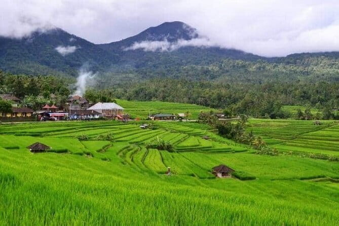 Discover Bali : Shore Excursion from Benoa Port with Free Wi-Fi - Two hours in Ubud