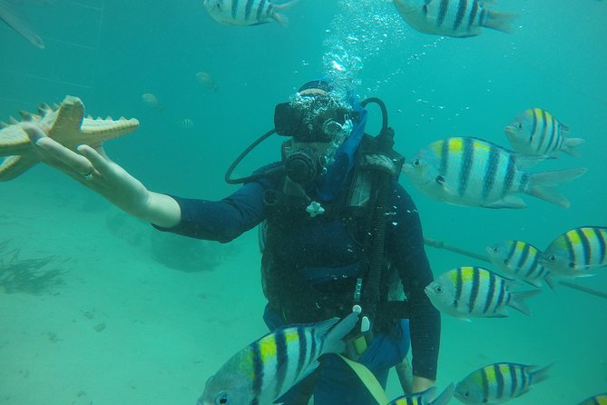 Discover Scuba Diving ( beginners) Combined With Jet Ski - Learning to breathe underwater for the first time