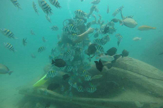Discover Scuba Diving ( beginners) Combined With Jet Ski - What the 20 to 30-minute ocean session offers