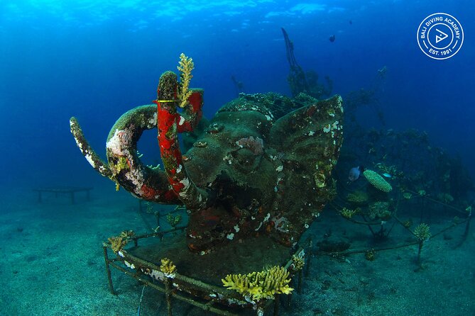 Discover Scuba Diving in Pemuteran at the Biorock site,1 shore dive all included - What the Menjangan reference means for your plans