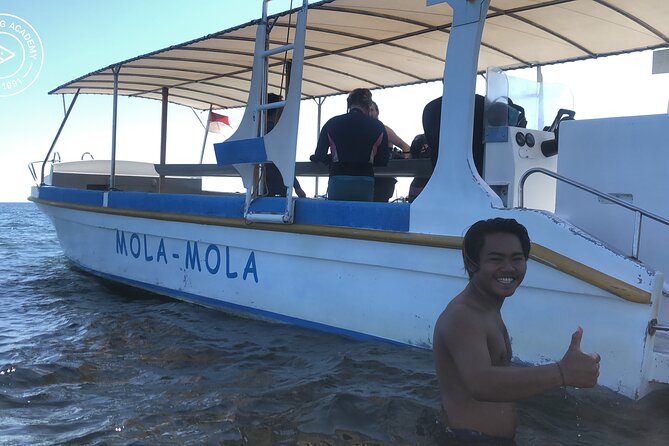 Discover Scuba Diving in Pemuteran at the Biorock site,1 shore dive all included - A family-friendly introduction, with sensible limits