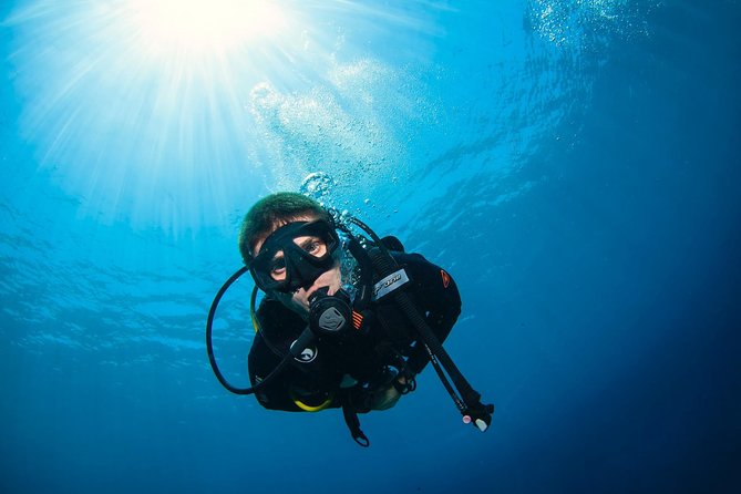 Discover Scuba Diving in Pemuteran - Diving Initiation in Bali (Menjangan Park) - A second chance to improve underwater
