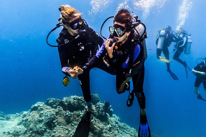 Discover Scuba Diving in Pemuteran - Diving Initiation in Bali (Menjangan Park) - Shallow-water practice before Menjangan Island