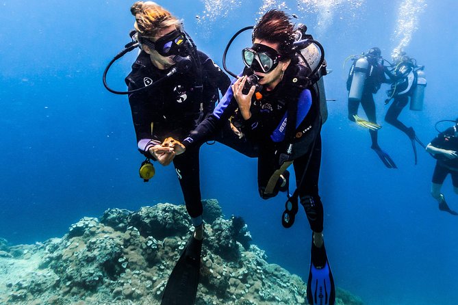 Discover Scuba Diving in Tulamben - Diving Initiation in Bali best diving sites - The private format keeps the first session manageable