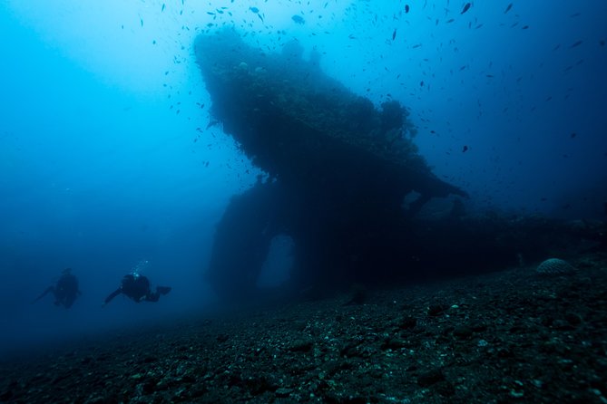 Discover Scuba Diving in Tulamben - Diving Initiation in Bali best diving sites - What happens during the seven-hour outing