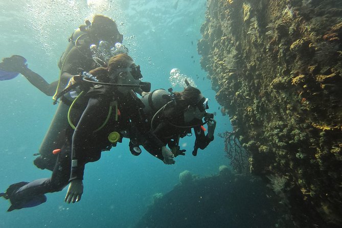 Discover Scuba Diving Tulamben Bali For Non-Certified Divers - Your first ocean session at the Liberty wreck