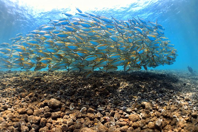 Discover Scuba Diving Tulamben Bali For Non-Certified Divers - The day begins with a Sanur check-in