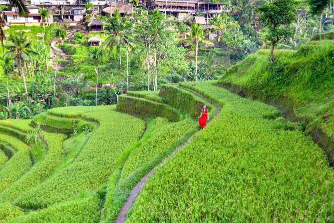 Discover The Best of Ubud: All-Inclusive and Private Guided Tour - A long but useful introduction to Ubud