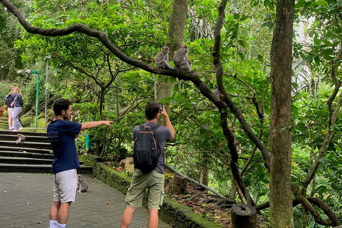 Discover The Best of Ubud: All-Inclusive and Private Guided Tour - Ulu Petanu Waterfall: the day’s best chance to get wet