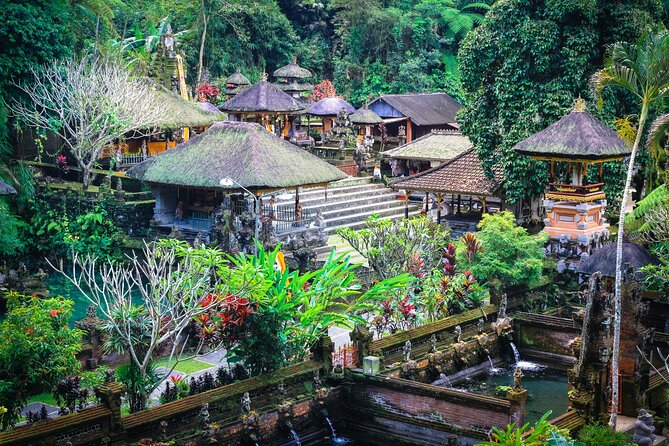 Discover Ubud: 2 Days Ubud Private Tour - Lunch at D Alas Warung includes a jungle swing