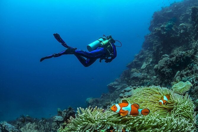 Diving in Nusa Penida - What the $158.60 price really covers