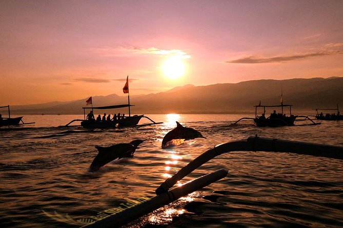 Dolphin Tour and Sunrise Watching in Lovina Beach - All Inclusive - At a glance