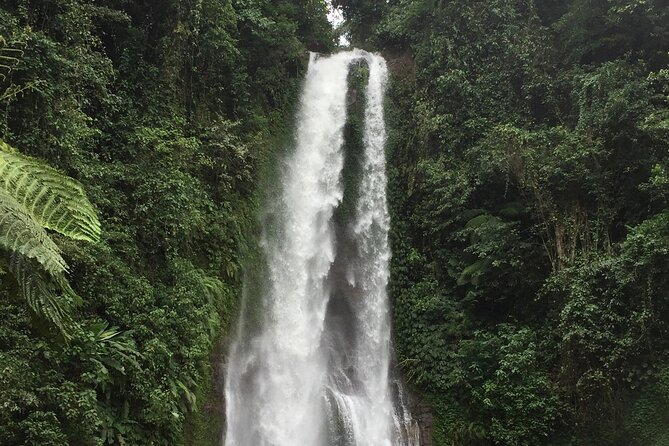Dolphin Tour and Sunrise Watching in Lovina Beach - All Inclusive - Wanagiri and the Lake Buyan swing