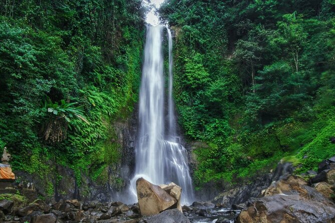 Dolphin Tour and Sunrise Watching in Lovina Beach - All Inclusive - Optional waterfalls and temples