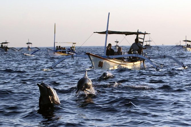 Dolphin Tour and Sunrise Watching in Lovina Beach - All Inclusive - A practical note about the boat arrangement