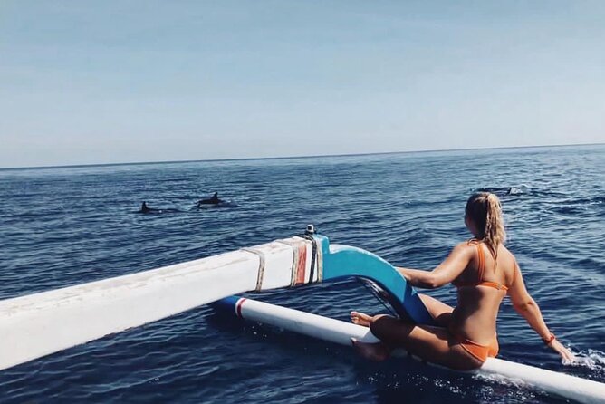 Dolphin Watching Tour, Swimming with Dolphins and Snorkeling - Quick takeaways from the Lovina morning