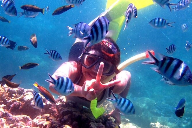 Dolphin Watching Tour, Swimming with Dolphins and Snorkeling - Reaching the boats at Lovina Beach