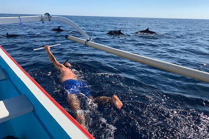 Dolphin Watching Tour, Swimming with Dolphins and Snorkeling - Snorkeling over Lovina’s reef