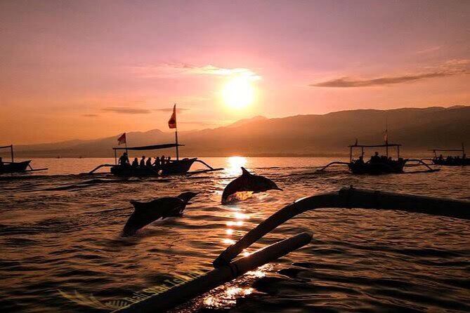 Dolphin Watching Tour, Swimming with Dolphins and Snorkeling - Searching for dolphins in the sunrise
