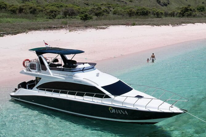 Early Morning Private Komodo Speedboat Tour - Manta Point and Siaba Island