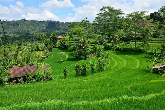 East Bali Tour: Gate of Heaven, Water Palace, Sleeping Gajah - Sidemen offers the day’s breathing space