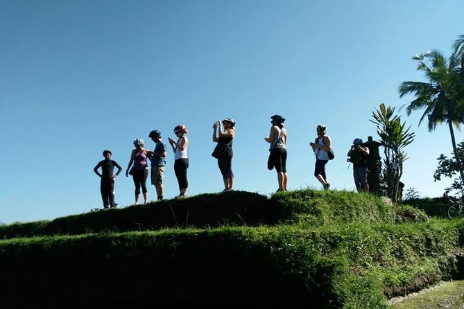 Electric Cycling Tour of Ubud with Free Hotel Transfer and Lunch - Tegalalang Rice Terrace: the big photo stop